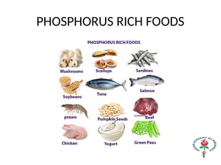 PHOSPHORUS RICH FOODS
 