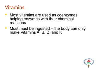 Vitamins
· Most vitamins are used as coenzymes,
helping enzymes with their chemical
reactions
· Most must be ingested – the body can only
make Vitamins A, B, D, and K
 