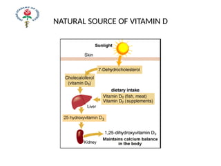 NATURAL SOURCE OF VITAMIN D
 