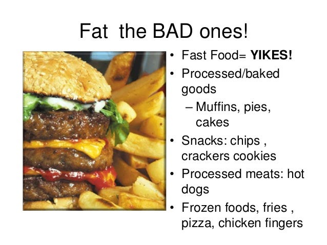 How Fast Do Dogs Digest Food How Fast Do Dogs Digest Food