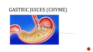 Nutrition glossary power point