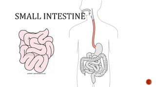 Nutrition glossary power point