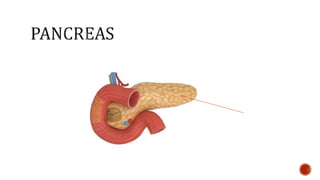 Nutrition glossary power point