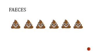 Nutrition glossary power point