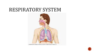 Nutrition glossary power point