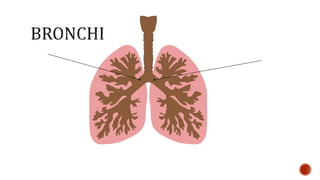 Nutrition glossary power point