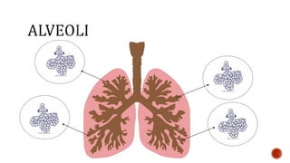 Nutrition glossary power point