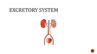 Nutrition glossary power point