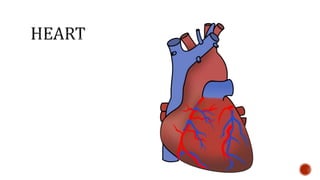 Nutrition glossary power point