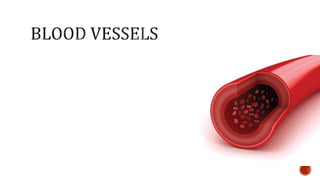 Nutrition glossary power point