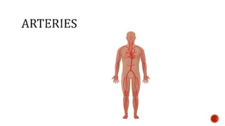 Nutrition glossary power point