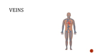 Nutrition glossary power point