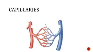 Nutrition glossary power point