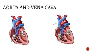 Nutrition glossary power point