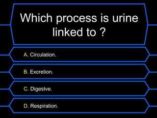 Which process is urine
     linked to ?
A. Circulation.


B. Excretion.


C. Digestve.


D. Respiration.
 