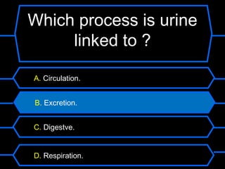 Which process is urine
     linked to ?

A. Circulation.


B. Excretion.


C. Digestve.


D. Respiration.
 