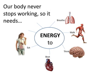 ENERGY 
to 
Eat 
Beat 
Think 
Walk 
Breathe 
Our body never 
stops working, so it 
needs… 
 