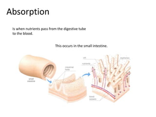 Absorption 
Is when nutrients pass from the digestive tube 
to the blood. 
This occurs in the small intestine. 
 