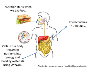 Nutrition starts when 
we eat food. 
Cells in our body 
transform 
nutrients into 
energy and 
building materials 
using OXYGEN. 
Food contains 
NUTRIENTS. 
Nutrients + oxygen = energy and building materials. 
 