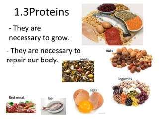 1.3Proteins 
- They are 
necessary to grow. 
- They are necessary to 
repair our body. 
Red meat fish 
eggs 
legumes 
nuts 
seeds 
 