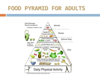 FOOD PYRAMID FOR ADULTS
 