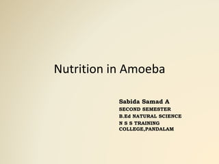 Nutrition in Amoeba
Sabida Samad A
SECOND SEMESTER
B.Ed NATURAL SCIENCE
N S S TRAINING
COLLEGE,PANDALAM
 
