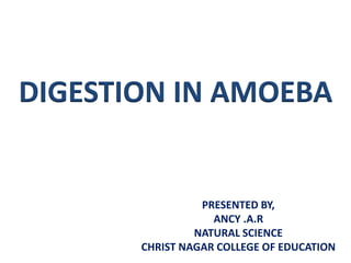 DIGESTION IN AMOEBA
PRESENTED BY,
ANCY .A.R
NATURAL SCIENCE
CHRIST NAGAR COLLEGE OF EDUCATION
 
