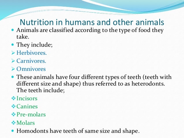 Nutrition in animals by Ratep Ken