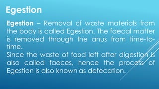 Egestion – Removal of waste materials from
the body is called Egestion. The faecal matter
is removed through the anus from time-to-
time.
Since the waste of food left after digestion is
also called faeces, hence the process of
Egestion is also known as defecation.
Egestion
 