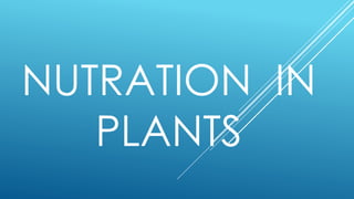 NUTRATION IN
PLANTS
 