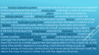 In the human digestive system, food enters the mouth and mechanical digestion
of the food starts by the action of mastication(chewing), a form of mechanical
digestion, and the wetting contact of saliva. Saliva, a liquid secreted by
the salivary glands, containssalivary amylase, an enzyme which starts the
digestion of starch in the food; the saliva also contains mucus, which lubricates
the food, and hydrogen carbonate, which provides the ideal conditions of pH
(alkaline) for amylase to work. After undergoing mastication and starch
digestion, the food will be in the form of a small, round slurry mass called a bolus.
It will then travel down the esophagus and into the stomach by the action
of peristalsis. Gastric juice in the stomach starts protein digestion. Gastric juice
mainly containshydrochloric acid and pepsin. As these two chemicals may
damage the stomach wall, mucus is secreted by the stomach, providing a slimy
layer that acts as a shield against the damaging effects of the chemicals. At the
same time protein digestion is occurring, mechanical mixing occurs by peristalsis,
which is waves of muscular contractions that move along the stomach wall. This
allows the mass of food to further mix with the digestive enzymes.
 