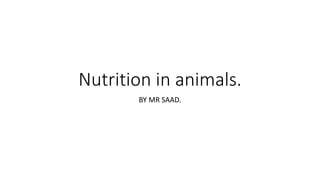 Nutrition in animals.
BY MR SAAD.
 
