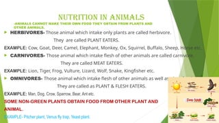NUTRITION IN ANIMALS
-ANIMALS CANNOT MAKE THEIR OWN FOOD THEY OBTAIN FROM PLANTS AND
OTHER ANIMALS.
 HERBIVORES- Those animal which intake only plants are called herbivore.
They are called PLANT EATERS.
EXAMPLE: Cow, Goat, Deer, Camel, Elephant, Monkey, Ox, Squirrel, Buffalo, Sheep, Horse etc.
 CARNIVORES- Those animal which intake flesh of other animals are called carnivore.
They are called MEAT EATERS.
EXAMPLE: Lion, Tiger, Frog, Vulture, Lizard, Wolf, Snake, Kingfisher etc.
 OMNIVORES- Those animal which intake flesh of other animals as well as plant food.
They are called as PLANT & FLESH EATERS.
EXAMPLE: Man, Dog, Crow, Sparrow, Bear, Ant etc.
SOME NON-GREEN PLANTS OBTAIN FOOD FROM OTHER PLANT AND
ANIMAL.
EXAMPLE- Pitcher plant, Venus fly trap, Yeast plant.
 