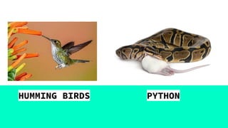 Nutrition in animals 7 | PPT