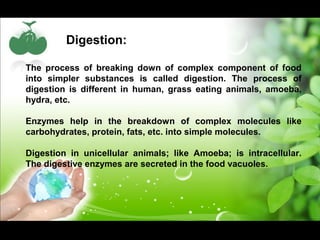 Digestion: 
The process of breaking down of complex component of food 
into simpler substances is called digestion. The process of 
digestion is different in human, grass eating animals, amoeba, 
hydra, etc. 
Enzymes help in the breakdown of complex molecules like 
carbohydrates, protein, fats, etc. into simple molecules. 
Digestion in unicellular animals; like Amoeba; is intracellular. 
The digestive enzymes are secreted in the food vacuoles. 
 