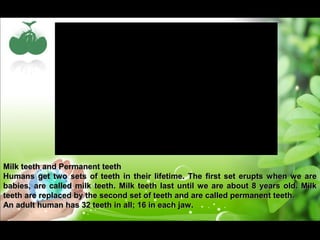MMiillkk tteeeetthh aanndd PPeerrmmaanneenntt tteeeetthh 
HHuummaannss ggeett ttwwoo sseettss ooff tteeeetthh iinn tthheeiirr lliiffeettiimmee.. TThhee ffiirrsstt sseett eerruuppttss wwhheenn wwee aarree 
bbaabbiieess,, aarree ccaalllleedd mmiillkk tteeeetthh.. MMiillkk tteeeetthh llaasstt uunnttiill wwee aarree aabboouutt 88 yyeeaarrss oolldd.. MMiillkk 
tteeeetthh aarree rreeppllaacceedd bbyy tthhee sseeccoonndd sseett ooff tteeeetthh aanndd aarree ccaalllleedd ppeerrmmaanneenntt tteeeetthh.. 
AAnn aadduulltt hhuummaann hhaass 3322 tteeeetthh iinn aallll;; 1166 iinn eeaacchh jjaaww.. 
 