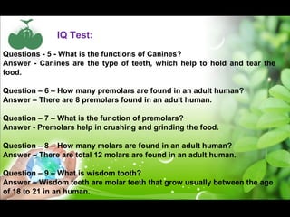 IQ Test: 
Questions - 5 - What is the functions of Canines? 
Answer - Canines are the type of teeth, which help to hold and tear the 
food. 
Question – 6 – How many premolars are found in an adult human? 
Answer – There are 8 premolars found in an adult human. 
Question – 7 – What is the function of premolars? 
Answer - Premolars help in crushing and grinding the food. 
Question – 8 – How many molars are found in an adult human? 
Answer – There are total 12 molars are found in an adult human. 
Question – 9 – What is wisdom tooth? 
Answer – Wisdom teeth are molar teeth that grow usually between the age 
of 18 to 21 in an human. 
 
