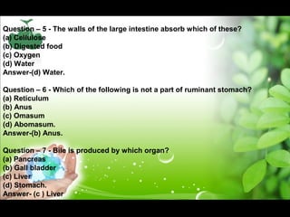 Question – 5 - The walls of the large intestine absorb which of these? 
(a) Cellulose 
(b) Digested food 
(c) Oxygen 
(d) Water 
Answer-(d) Water. 
Question – 6 - Which of the following is not a part of ruminant stomach? 
(a) Reticulum 
(b) Anus 
(c) Omasum 
(d) Abomasum. 
Answer-(b) Anus. 
Question – 7 - Bile is produced by which organ? 
(a) Pancreas 
(b) Gall bladder 
(c) Liver 
(d) Stomach. 
Answer- (c ) Liver 
 