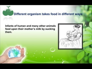 Different organism takes food in different ways: 
Infants of human and many other animals 
feed upon their mother’s milk by sucking 
them. 
 
