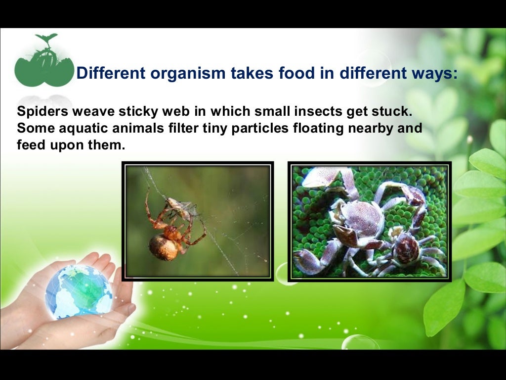 Nutrition in animals class vii