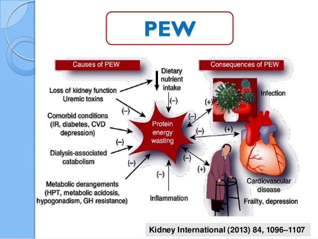Nutrition In Ckd Amp Hd Dawly 2017
