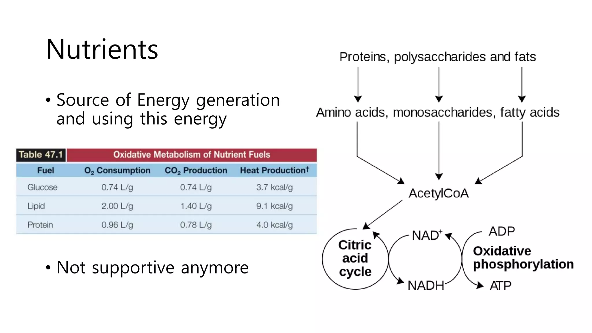 Nutrition in critically ill patients | PPTX
