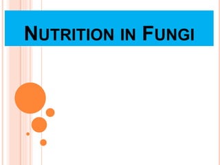 NUTRITION IN FUNGI
 