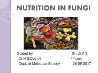 NUTRITION IN FUNGI
Guided by, Shryli K S
Dr N S Devaki 1st sem
Dept. of Molecular Biology 28-09-2017
 