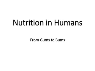 Nutrition in Humans
From Gums to Bums
 
