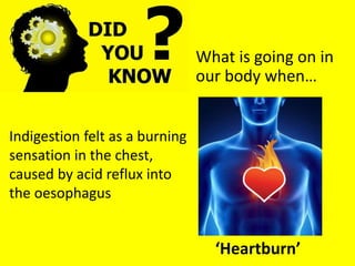 What is going on in
our body when…
‘Heartburn’
Indigestion felt as a burning
sensation in the chest,
caused by acid reflux into
the oesophagus
 
