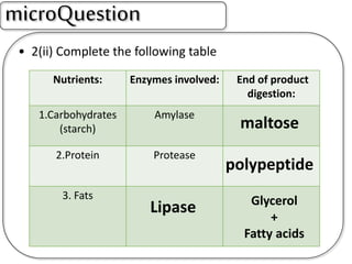 • 2(ii) Complete the following table
microQuestion
Nutrients: Enzymes involved: End of product
digestion:
1.Carbohydrates
(starch)
Amylase
2.Protein Protease
3. Fats
maltose
polypeptide
Lipase Glycerol
+
Fatty acids
 