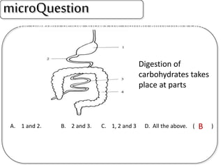 5.The diagram below shows the human alimentary canal.
A. 1 and 2. B. 2 and 3. C. 1, 2 and 3 D. All the above. ( )
microQuestion
Digestion of
carbohydrates takes
place at parts
B
 