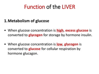 Function of the LIVER
1.Metabolism of glucose
• When glucose concentration is high, excess glucose is
converted to glycogen for storage by hormone insulin.
• When glucose concentration is low, glycogen is
converted to glucose for cellular respiration by
hormone glucagon.
 