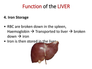 Function of the LIVER
4. Iron Storage
• RBC are broken down in the spleen,
Haemoglobin  Transported to liver  broken
down  iron
• Iron is then stored in the liver
 